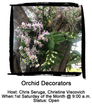 Photo of Orchid Decorators